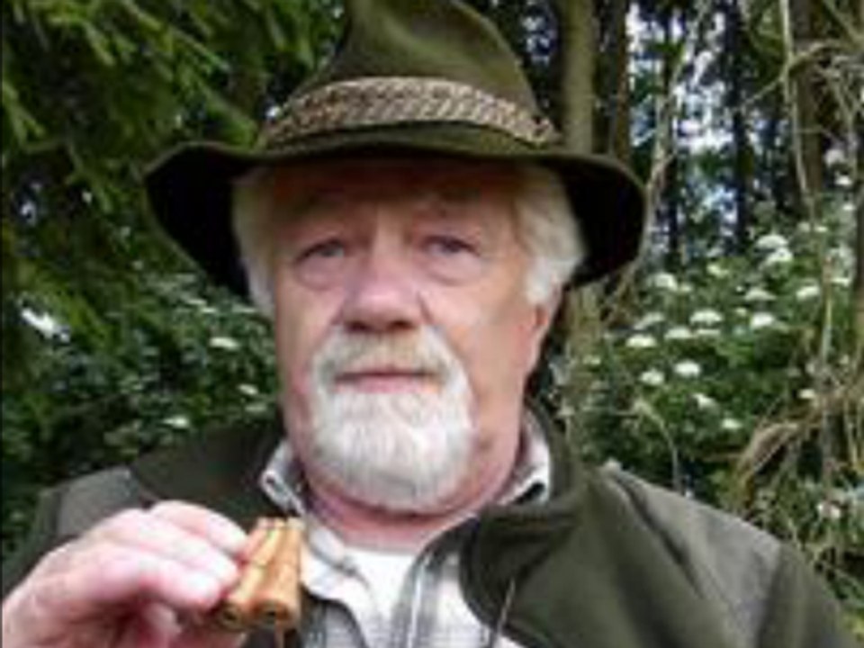 Appeau renard oiseau attaqué