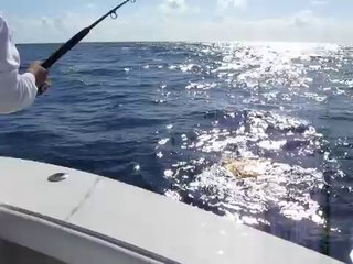 Miami Fishing Charter