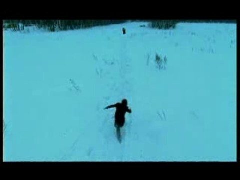 smislovie golucinacii polusa