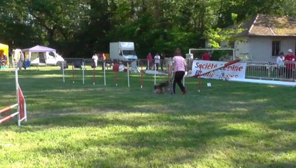 Cooky Sélectif Trophéé Cibiens M2