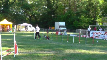 Haloa Sélectif Trophéé Cibiens M2