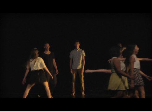 Lycée Saint Charles - Marseille - Championnat de France UNSS de danse - Nancy 2014