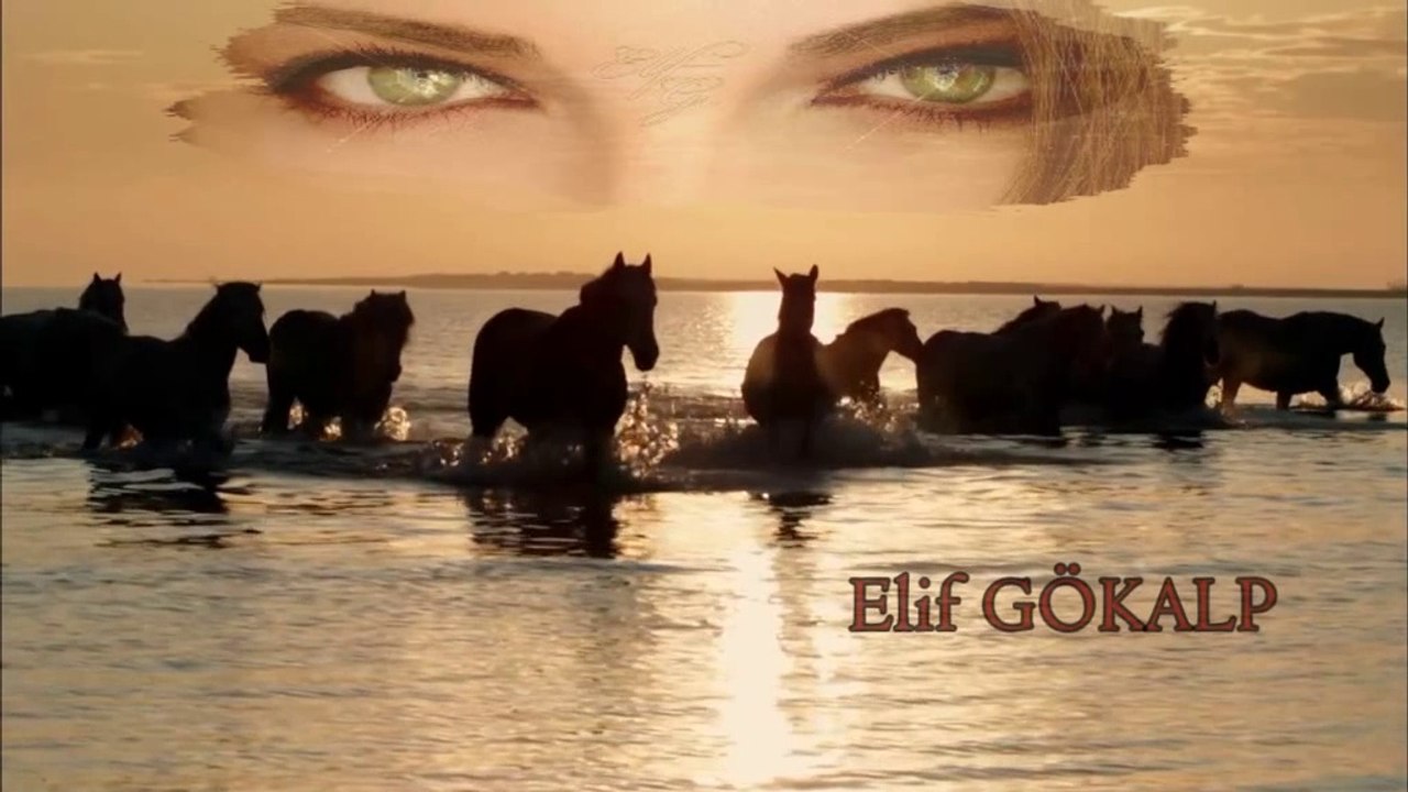 Elif GÖKALP ~ Şen Olasın Ürgüp (Sırrı Ali Talay)