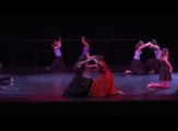 Collège Michelet - Lisieux - Championnat de France UNSS de danse - Nancy 2014