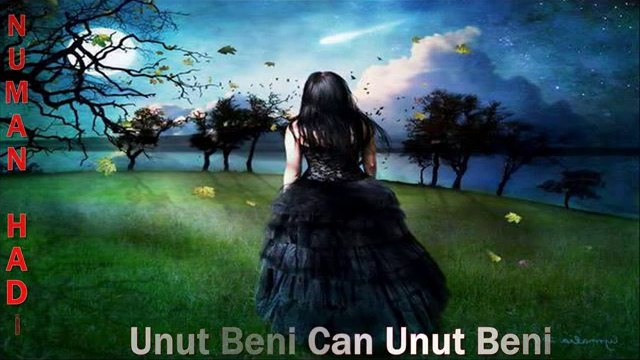 Numan Hadi Unut Beni Can Unut Beni
