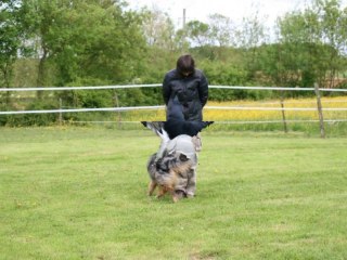 Une aprèm avec mon pote Watson