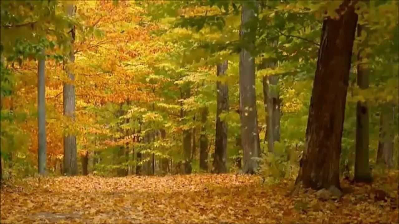 Muslim Cleric declares Pumpkin (Kadoo) more sacred than Human life and  each other kaafir