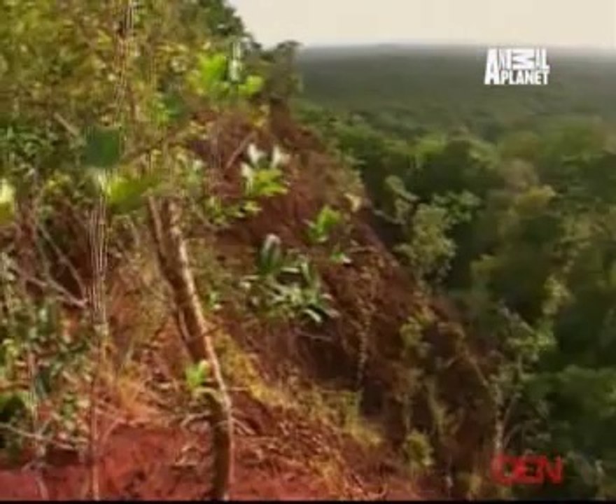Planet Wild 21st May 2014 Video Watch Online Pt1