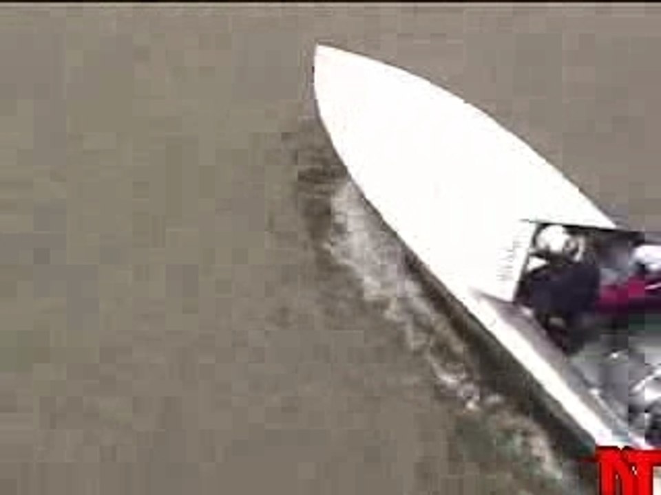 Squirt2_(bridge)lr