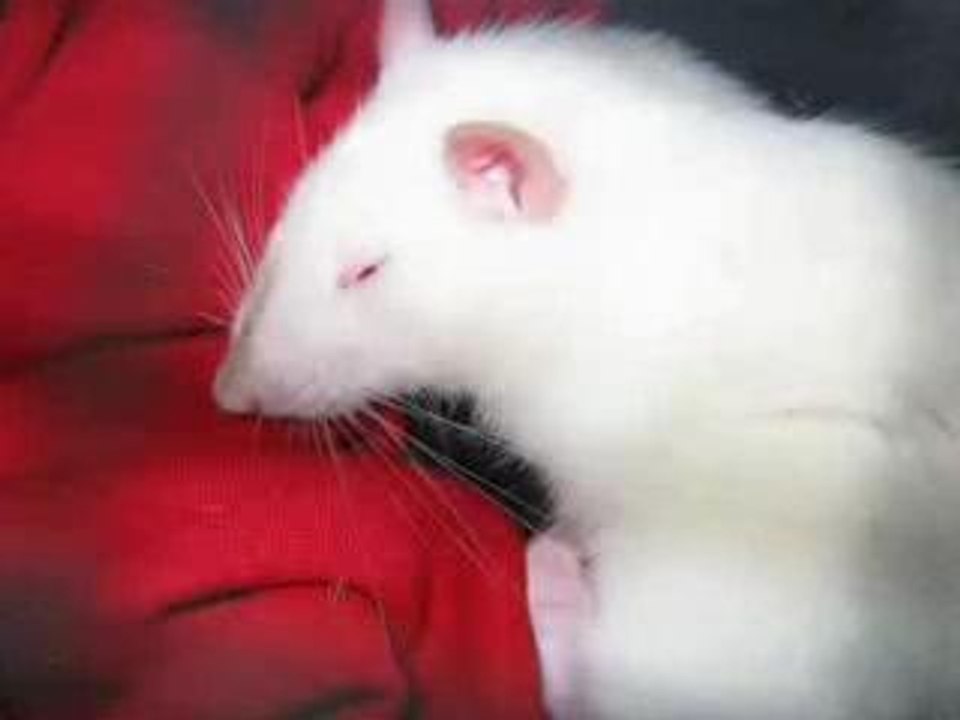 une ptite sieste?