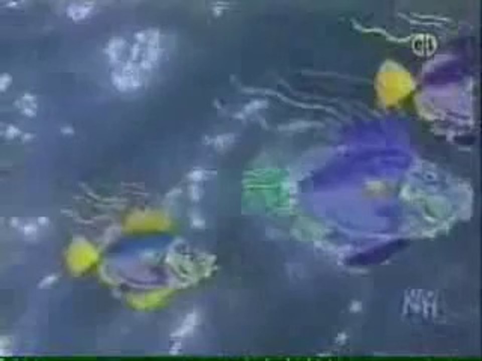 Classic Sesame Street animation - Three fish