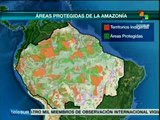 Brasil: gob. destinará 216 mdd a zonas protegidas de la Amazonía