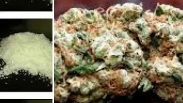 egochems.com,buy Pseudoephedrine USA,Pseudoephedrine online USA,Pseudoephedrine UK,AUSTRALIA,CANADA,EUROPE