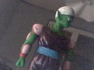 piccolo VS sangoku
