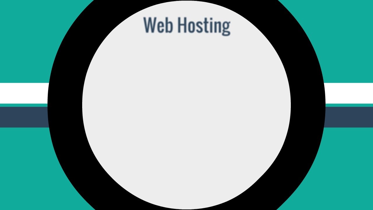 Bargain host video
