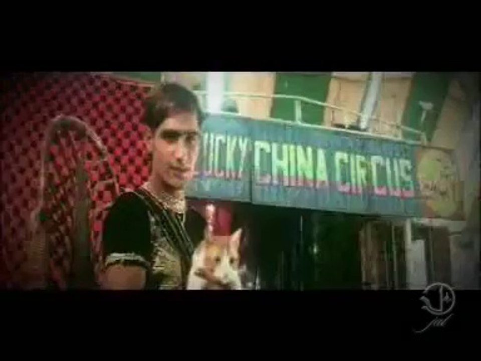 teri yd