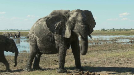 Philip Cottrell Forensic Wealth Management