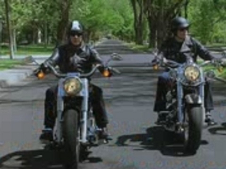 Wild Hogs
