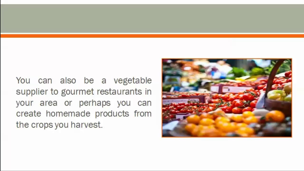 5 Reasons To Grow Home Garden Organic Seeds 1