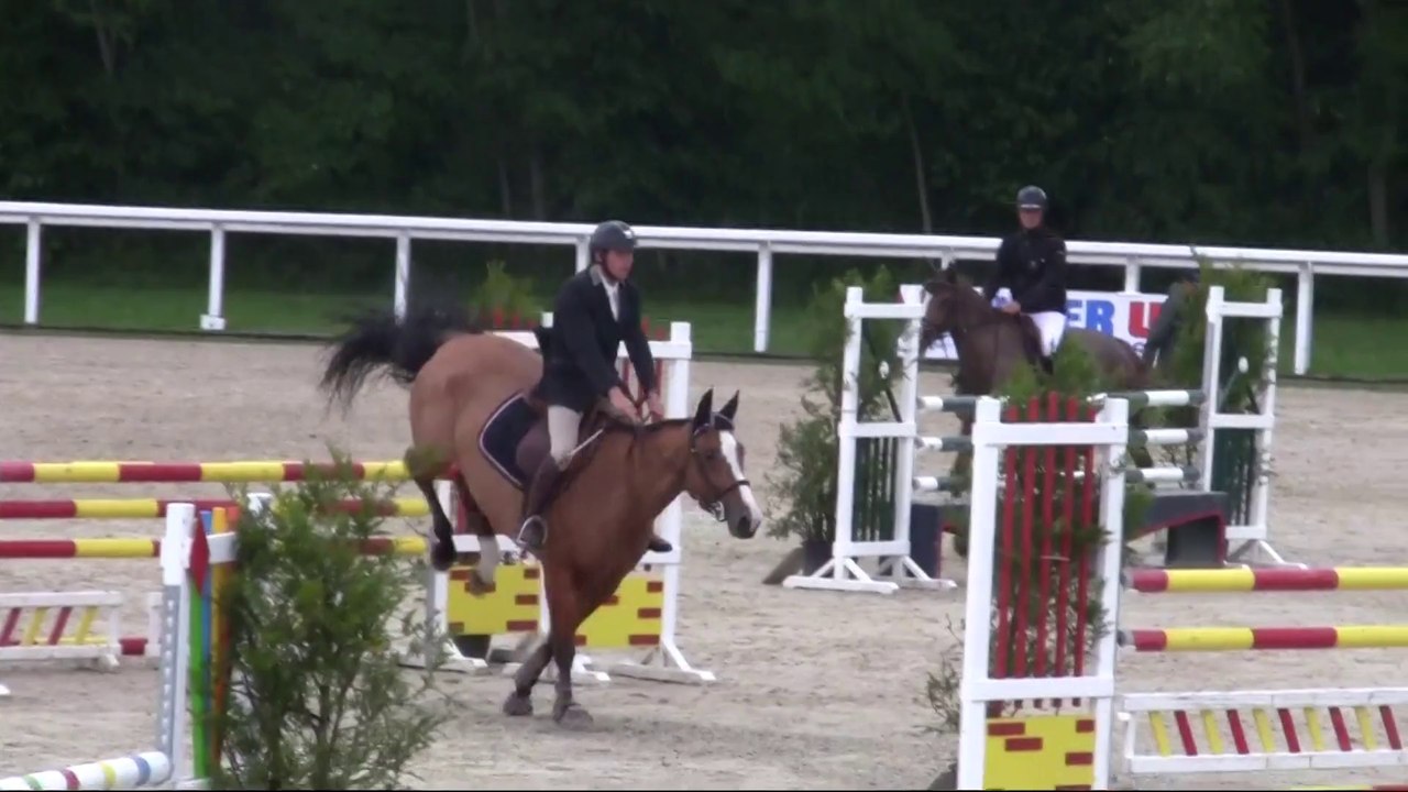 Une CC 6ansB Le Lion