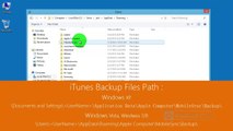 Easy and Quick iPhone Backup Password Recovery - Unlock/Recover/Restore Lost or Forgotten iTunes Backup Password