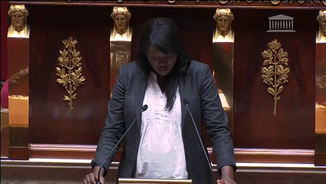 Seybah Dagoma - Séance publique - Partenariat transatlantique de commerce et d'investissement (TTIP) - 22 mai 2014