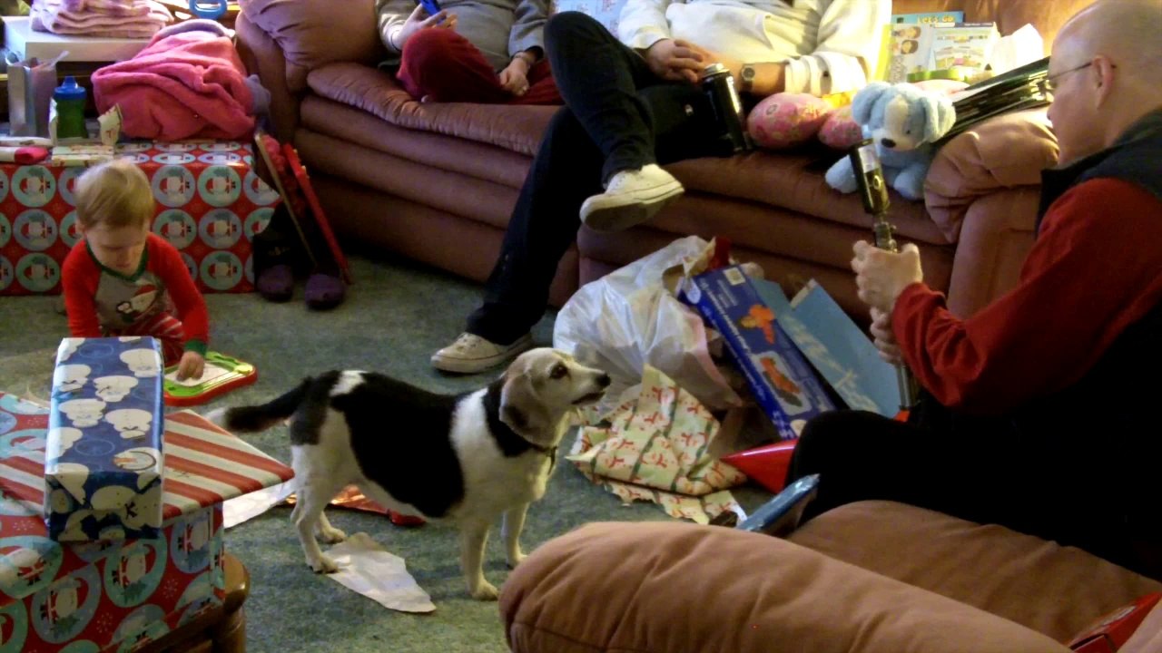 Lessons From My Grandson - A Child’s Reaction At Presents