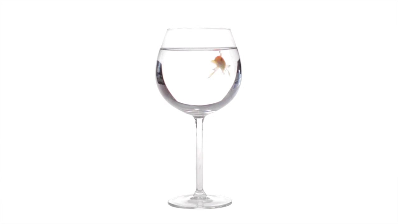Poisson test #2