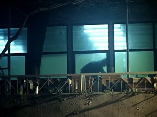 Tabutta Rövaşata - Bayramın Olsun