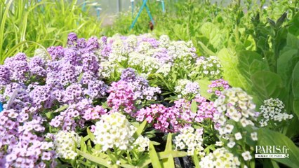 L'école du Breuil l'école des jardiniers de Paris