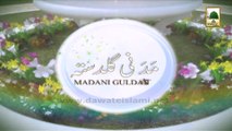 Madani Guldasta 33 - Mojaza-e-Meraj - Haji Imran Attari (1)