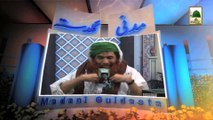 Madani Guldasta 300 - Meraj un Nabi - Maulana Ilyas Qadri (1)