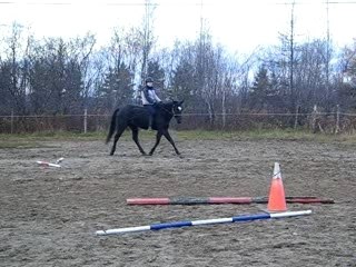 Saut sans selle!