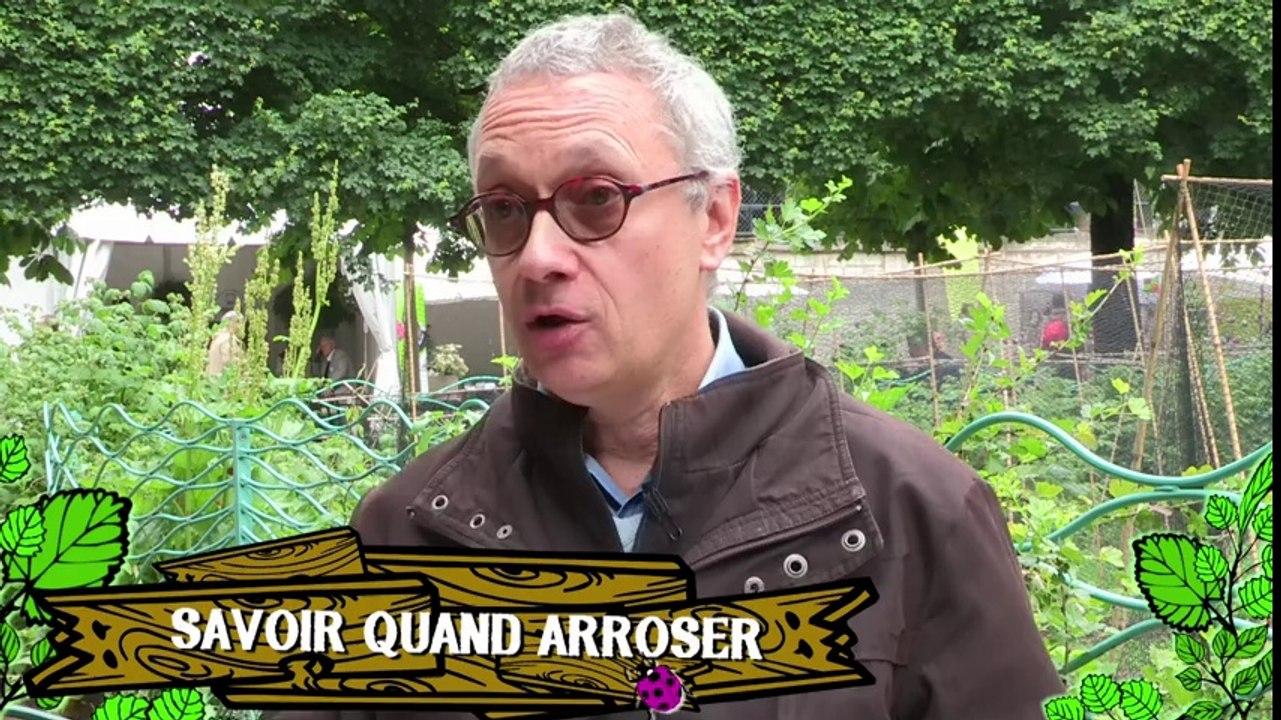 Comment bien arroser vos plantes ?