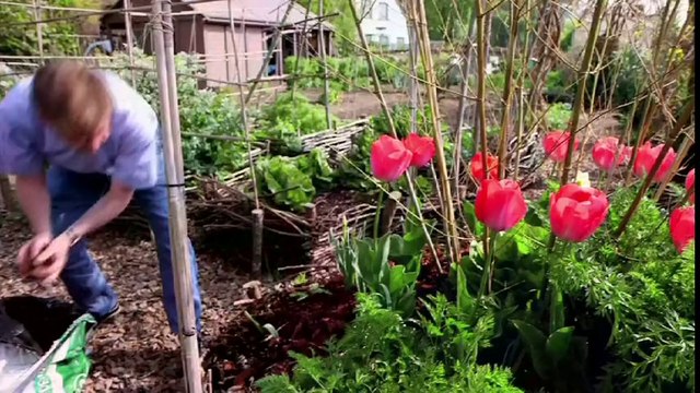 Jardiner nature, jardiner sans pesticides