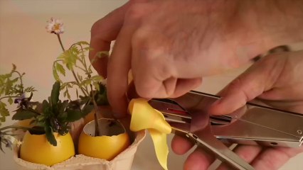 Un centre de table très nature pour Pâques