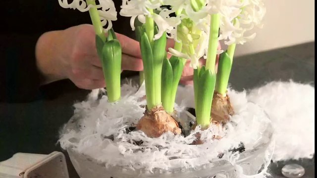 Une composition florale hivernale blanche comme neige