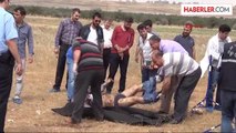 Şanlıurfa'da Boş Arazide Erkek Cesedi Bulundu