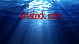 Stock Footage Underwater Sea