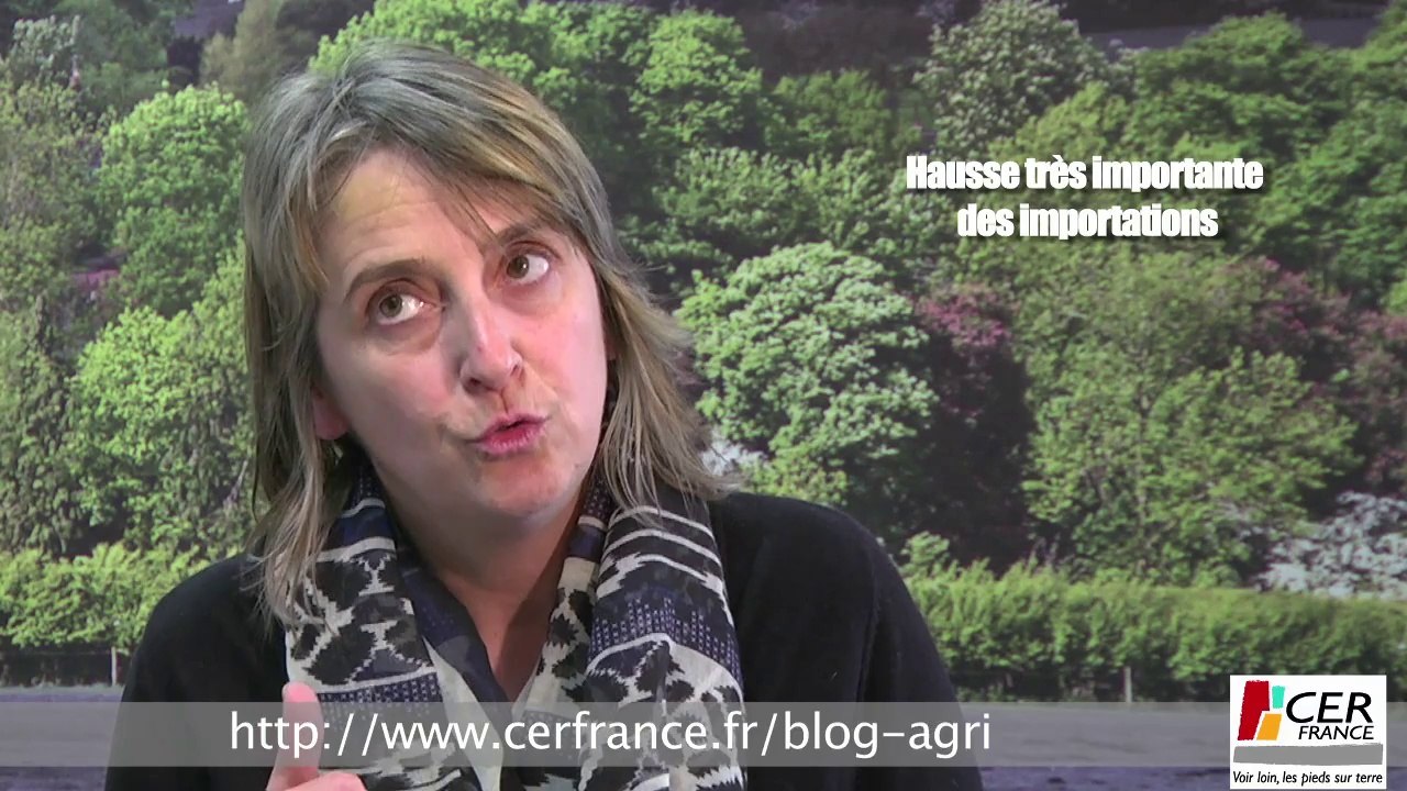 Pourquoi la situation des industries agroalimentaires se dégrade ? par Christine Huppert