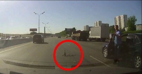 Il s'arrête au milieu de l'autoroute pour sauver une famille de canards !