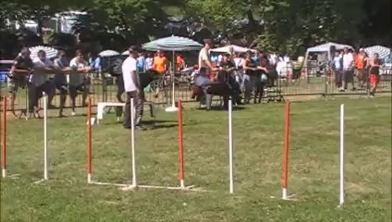 agility trophée 14 cibeins Goran manche 3