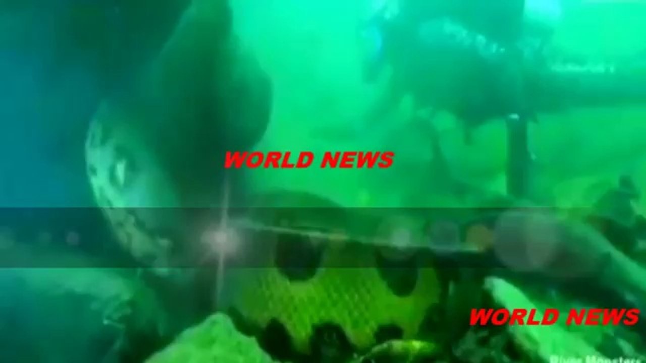 Homem encontra anaconda de 20 metros em rio do Amazonas