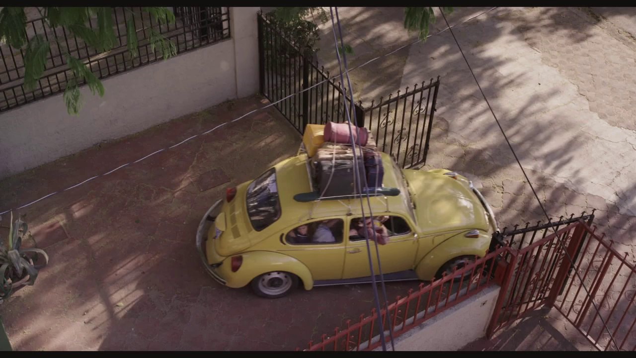 LES DROLES DE POISSONS-CHATS - Bande-annonce VO