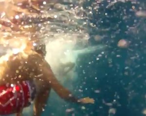 Activités nautiques Costa Brava (J'ai oublié de vivre) HD