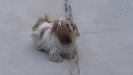 A vos marques, prêts, feu... partez !!!!