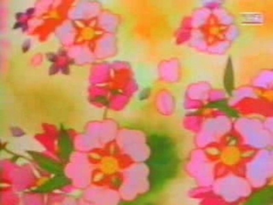 Candy