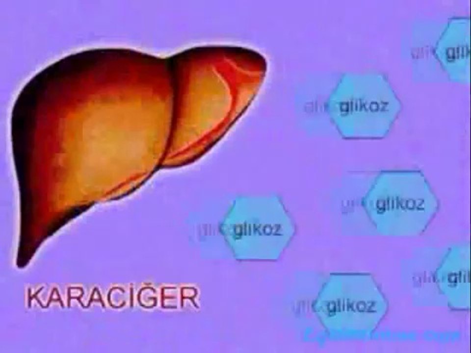 KAN ŞEKERİNİN DENGELENMESİ