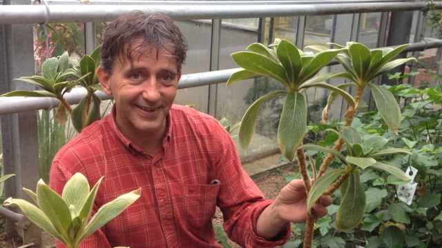 A la découverte de plantes menacées