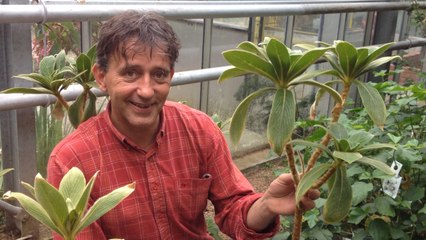 A la découverte de plantes menacées